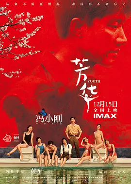 芳华 (2017)